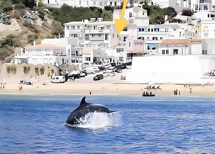 Sardinha-1 Min Walk To